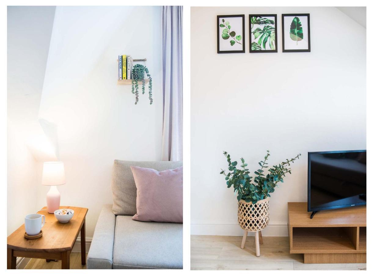 1 Bed Central Cardiff Loft Apartment Near Stadium Eksteriør billede