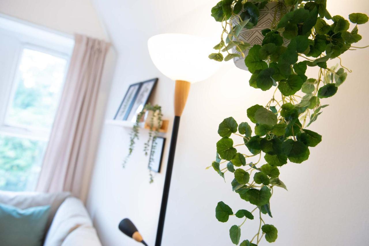 1 Bed Central Cardiff Loft Apartment Near Stadium Eksteriør billede